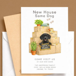 Anuncio de Mudanza de Casa del Labrador Retriever 