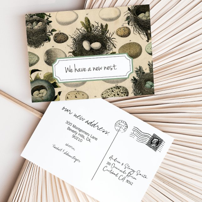Anuncio de Mudanza Personalizable // Pájaro Vintag (Subido por el creador)