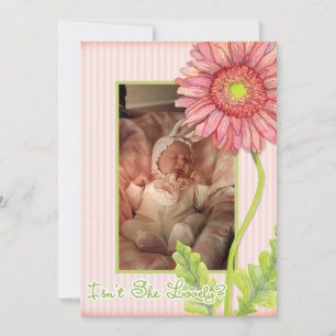 Anuncio de nacimiento con foto de gerbera margarit