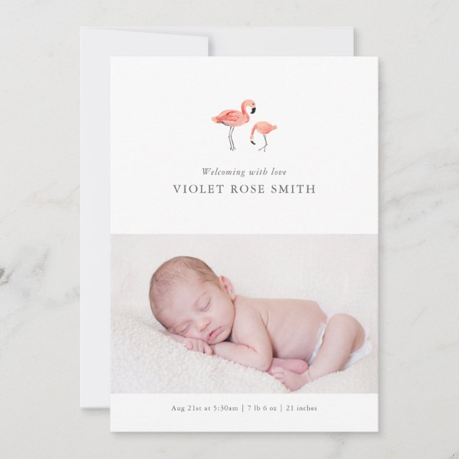 Anuncio de nacimiento de Flamingo (Anverso)