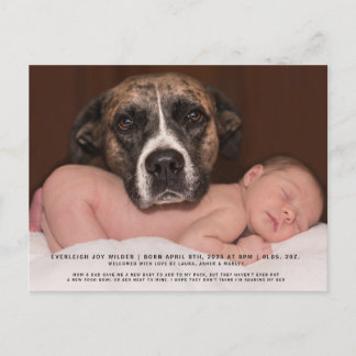 Anuncio de Nacimiento de Foto de Bebé Perro Divert