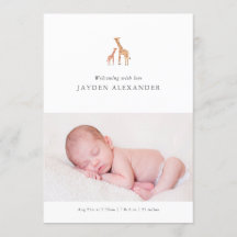 Anuncio de nacimiento de Giraffe