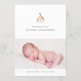 Anuncio de nacimiento de Giraffe