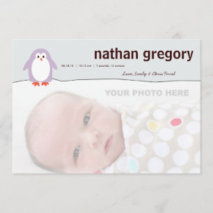 Anuncio de nacimiento de pingüino