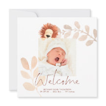 Anuncio de nacimiento de un bebé de león limpio y 