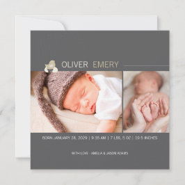 Anuncio de Nacimiento Foto de Pollito de Huevo Ecl