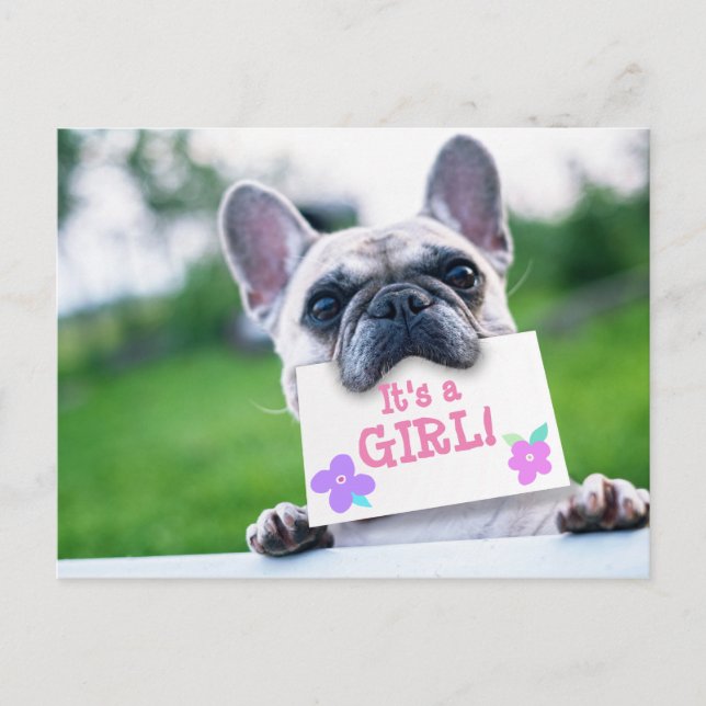 Anuncio de niña con perro personalizado (Anverso)