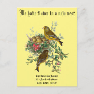Anuncio de nuevo hogar de nido de pájaros bebé vin