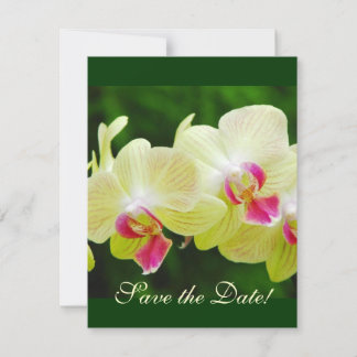 Anuncio de Orchid Save the Date