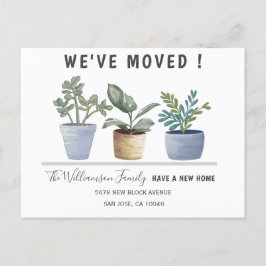 Anuncio de plantas en macetas modernas que hemos m