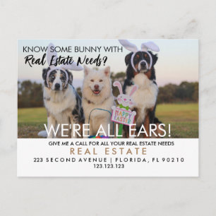 Anuncio de referencias de conejo de Pascua de bien