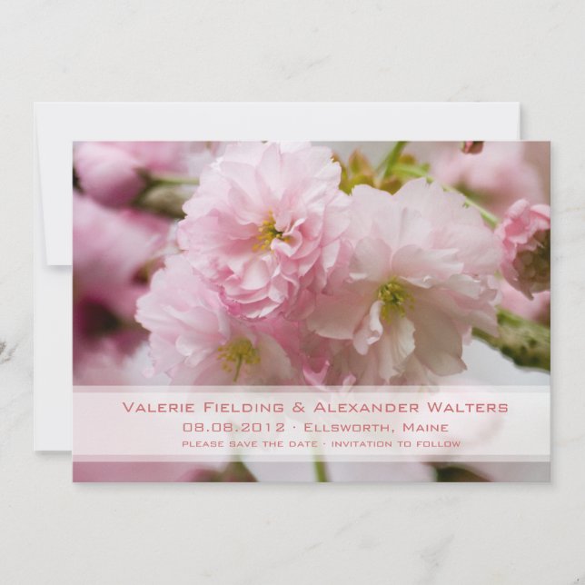 Anuncio de reserva de fecha de Sakura (Anverso)