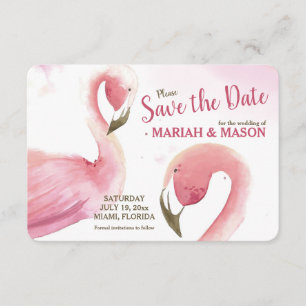 Anuncio de "Salven la Fecha" de Flamencos Rosas