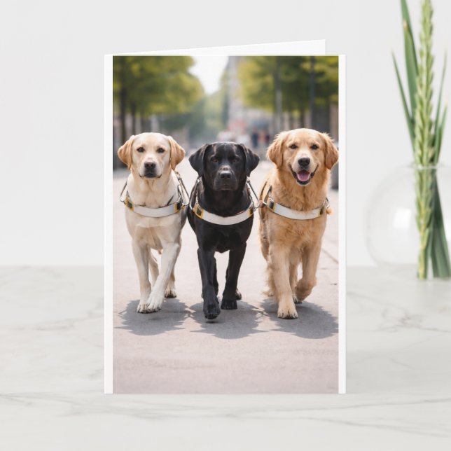 Anuncio del Equipo del Perro Guía Avanzando Juntos (Anverso)