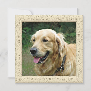 Anuncio Día feliz de madres o padres con foto de perro