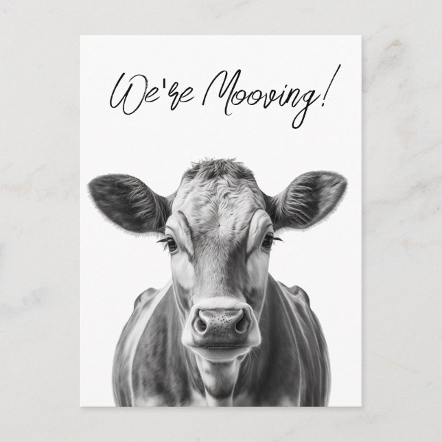 Anuncio divertido de mudanza de vaca  (Anverso)