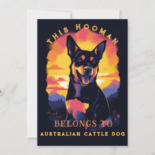 Anuncio Divertido padre australiano de perro de ganado vac