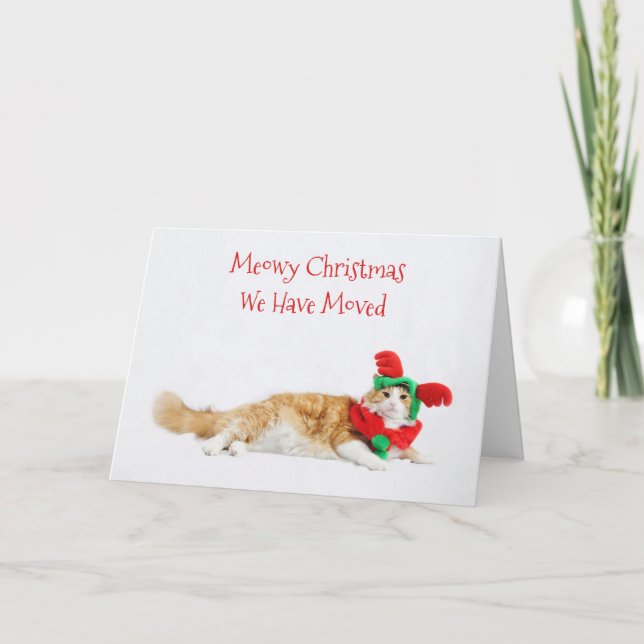 Anuncio Divertidos Navidades de gatos curados mudándose nu (Anverso)