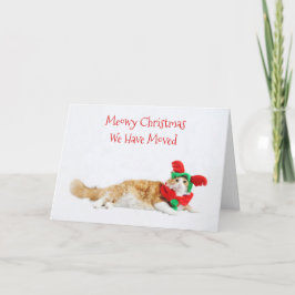 Anuncio Divertidos Navidades de gatos curados mudándose nu