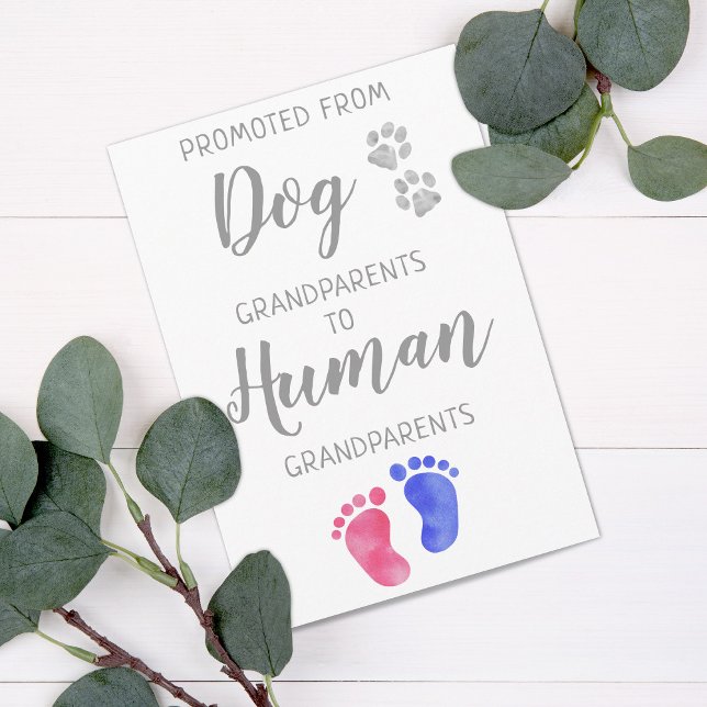 Anuncio El embarazo lindo de los nuevos abuelos por parte  (Subido por el creador)