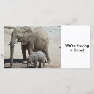 Anuncio Elefante bebé con mamá