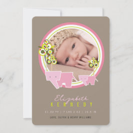 Anuncio Elefantes Rosa Cute La Familia La Niña Fotos Nacid