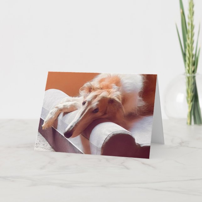 Anuncio Ese rostro de Borzoi (Anverso)