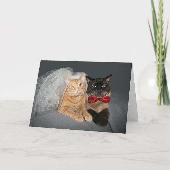 Anuncio Feline Bride y Groom (Anverso)