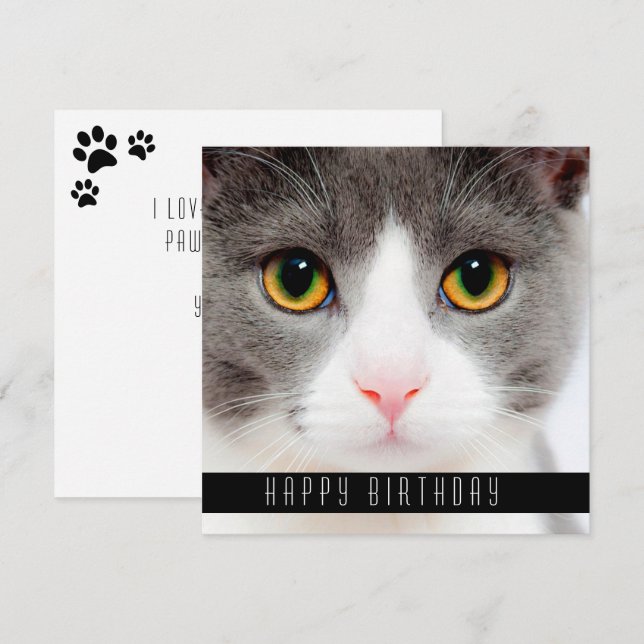 Anuncio Feliz cumpleaños a los gatos (Anverso / Reverso)