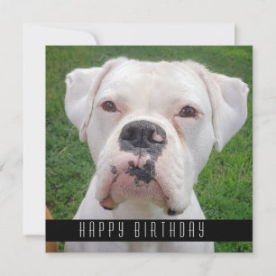 Anuncio Feliz cumpleaños con perros