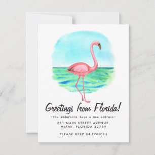 Anuncio Flamingo Tropical Moved New Address Florida Moving