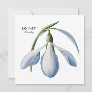 Anuncio Flor de Invierno de Enero - Regalo Personalizado