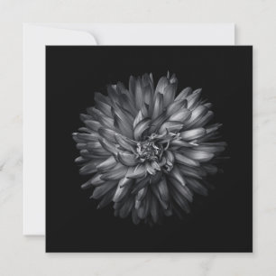 Anuncio Flores De Patio Trasero En Blanco Y Negro 20