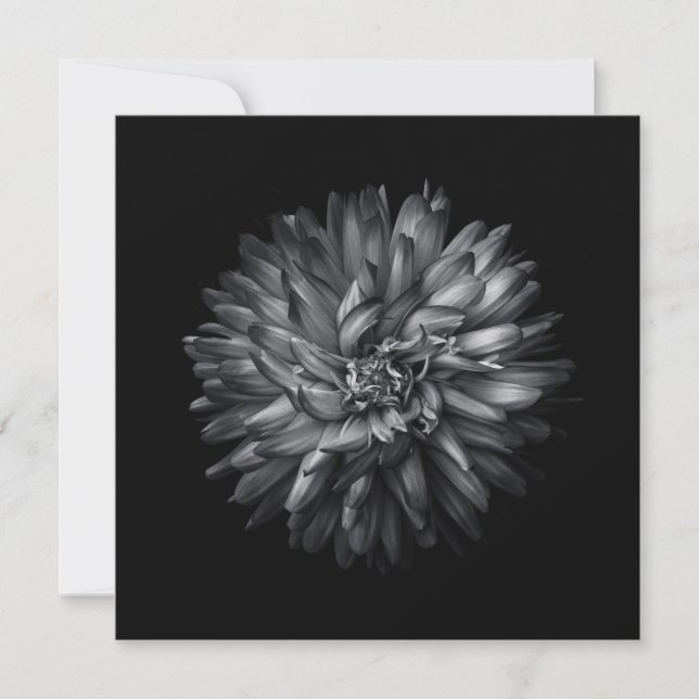 Anuncio Flores De Patio Trasero En Blanco Y Negro 20 (Anverso)
