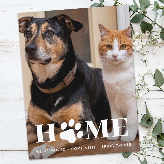 Anuncio Foto del Mascota del hogar Hemos mudado nueva dire (Subido por el creador)