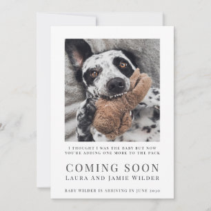 Anuncio Foto divertida de perro Próximamente