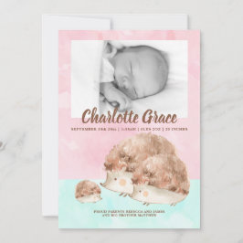 Anuncio Foto personalizada de Recién nacido de familia Cut