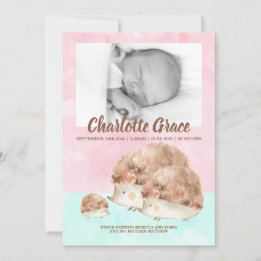 Anuncio Foto personalizada de Recién nacido de familia Cut