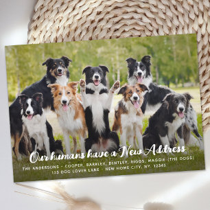 Anuncio Funny Moderna, nueva dirección Personalizado Masco