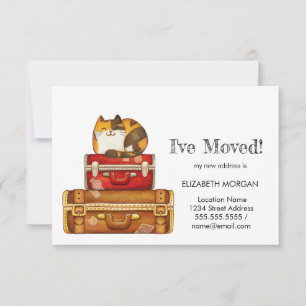 Anuncio Gato En Maletas Que He Movido