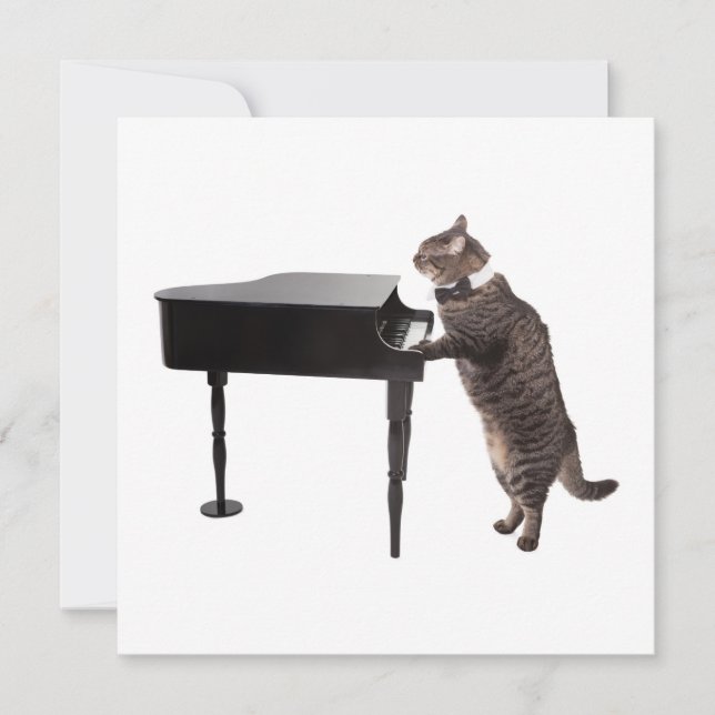 Anuncio Gato jugando al piano (Anverso)