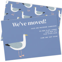 Gaviota mudándose a casa nueva