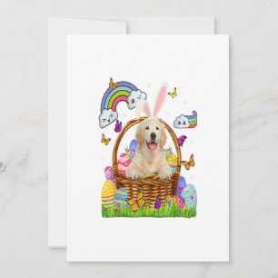 Anuncio Golden Retriever Easter Eggs Gracioso Perro Cute