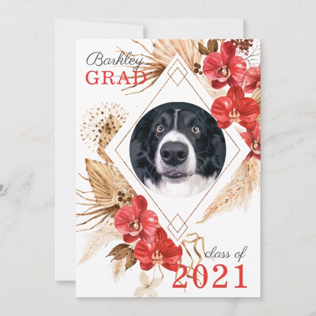Anuncio Graduación de la clase de obediencia del perro (Anverso)