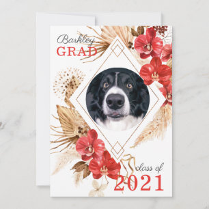 Anuncio Graduación de la clase de obediencia del perro