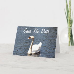 Anuncio Guardar el cisne blanco Date