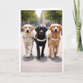 Anuncio Guide Dog Team Announcement Forward Together 