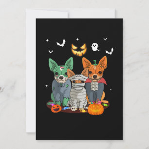 Anuncio Halloween Chihuahua Perro Perro Perro Perro lindo 