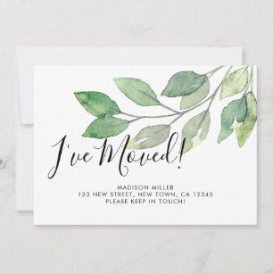 Anuncio He mudado nueva vegetación doméstica