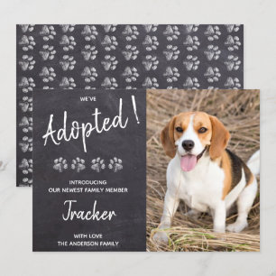 Anuncio Hemos adoptado al perro para rescatar a cachorros 